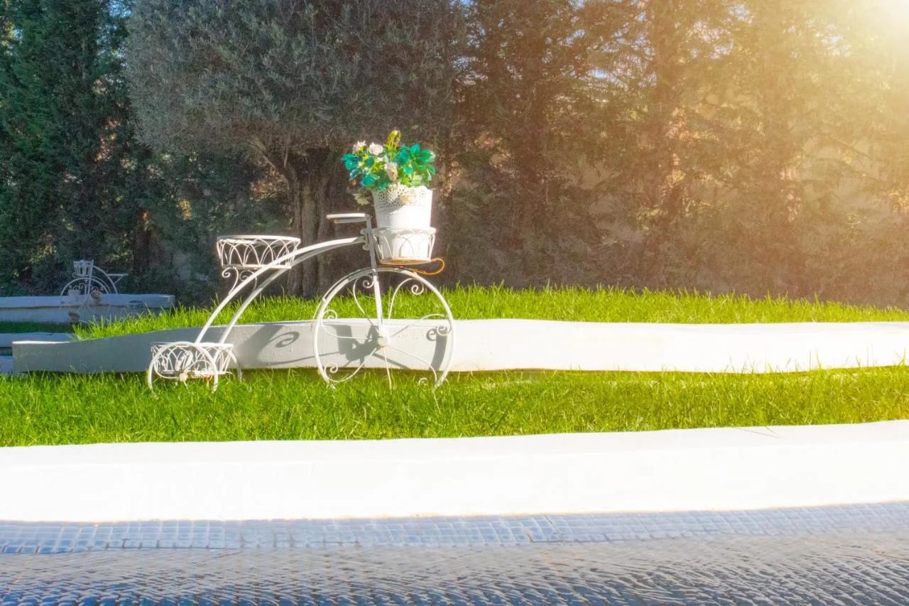 A wrought-iron bicycle planter on the lawn beside the tiled edge of the swimming pool