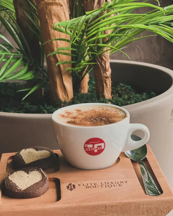 Cappuccino and two biscuits on wooden tray beside potted plant
