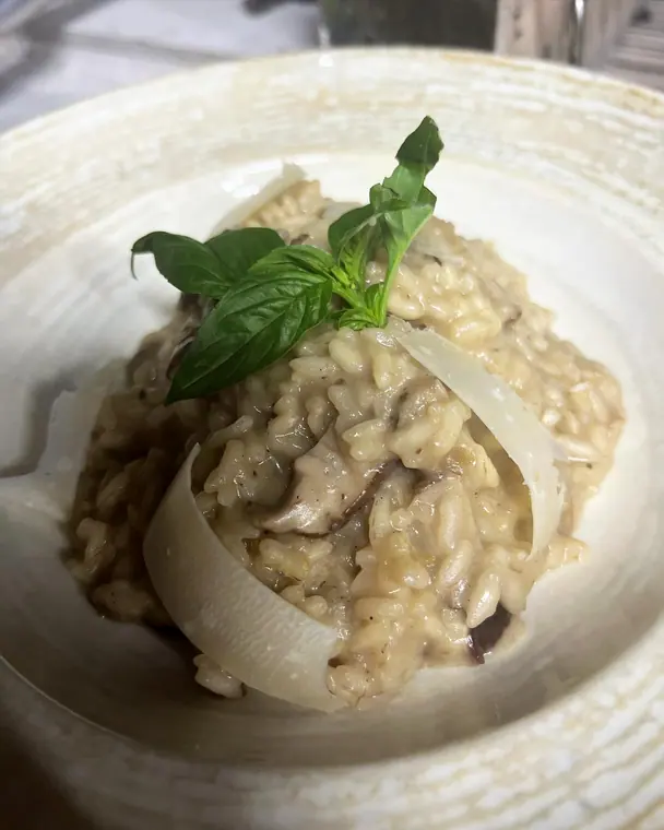 Mushroom risotto in ceramic bowl topped with basil and shaved cheese