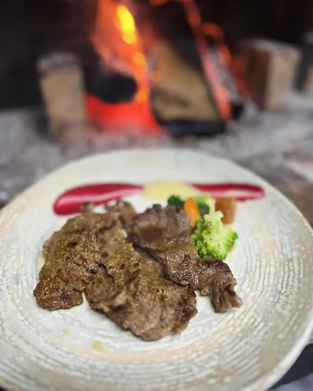 Sliced beef with vegetables and sauce on plate before open fire